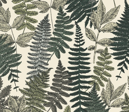 Her and History - Fougères - AGF