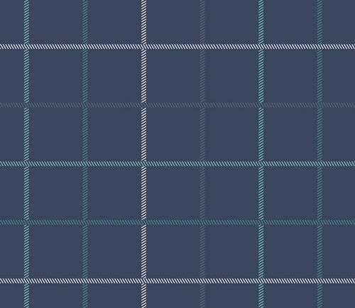 Snow Day - JERSEY Wintry Check - AGF