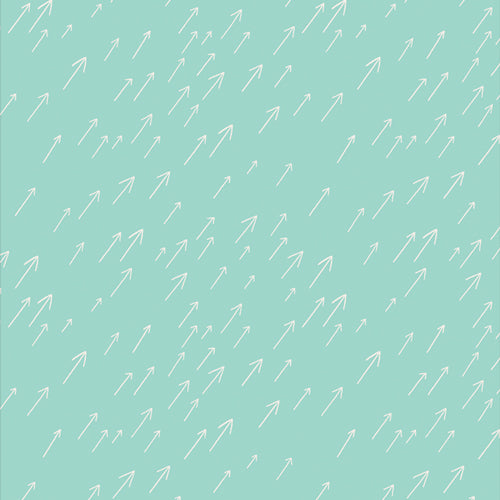 Onward + Upward - Forever forward - AGF