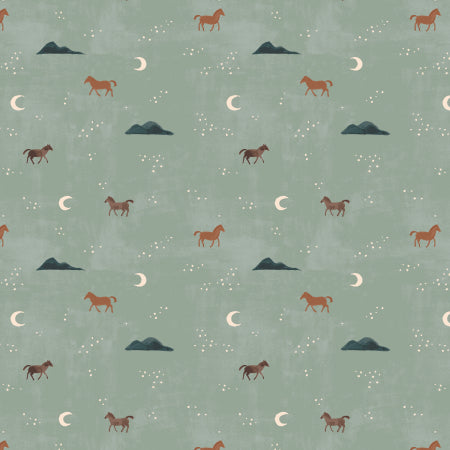 Salt River - Wild horses - Cotton + Steel