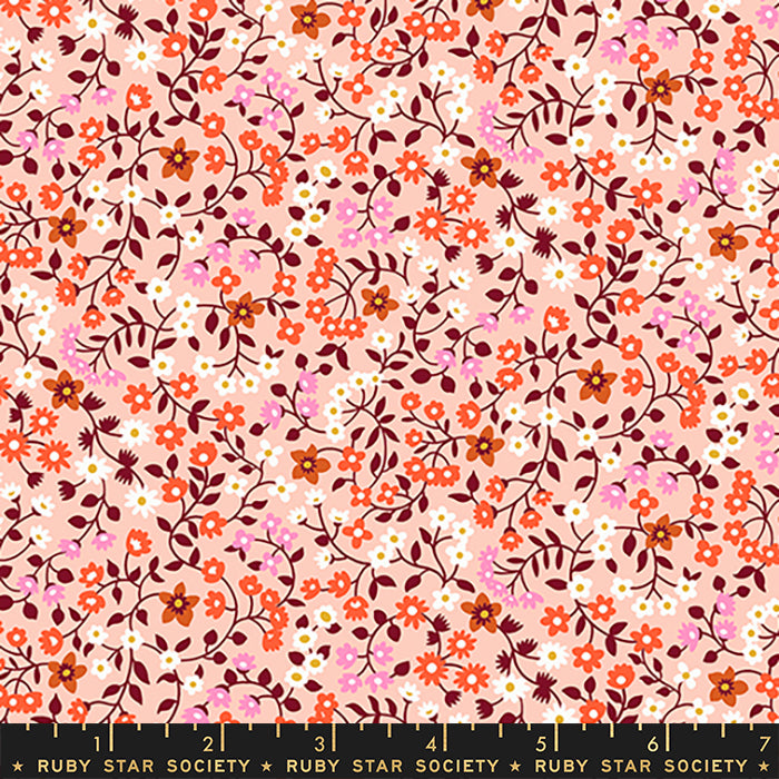 Strawberry and Friends - Clothesline Peach Cream - Ruby Star Society